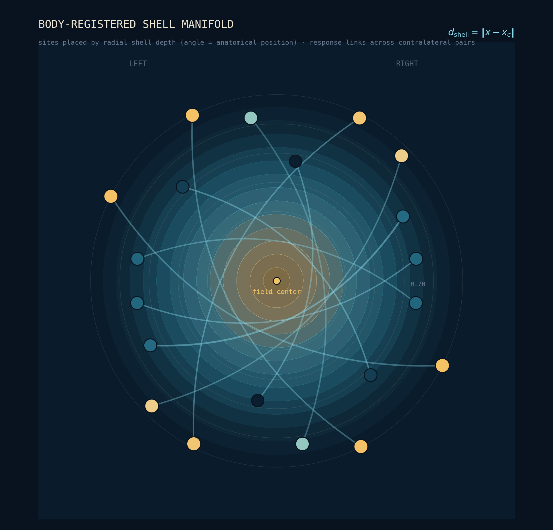 Body-registered shell manifold: measurement sites embedded by radial shell depth, with response vectors between contralateral pairs.